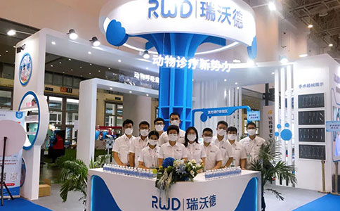以科技创新赋能动物诊疗，千亿国际荣获“年度科技创新品牌奖”