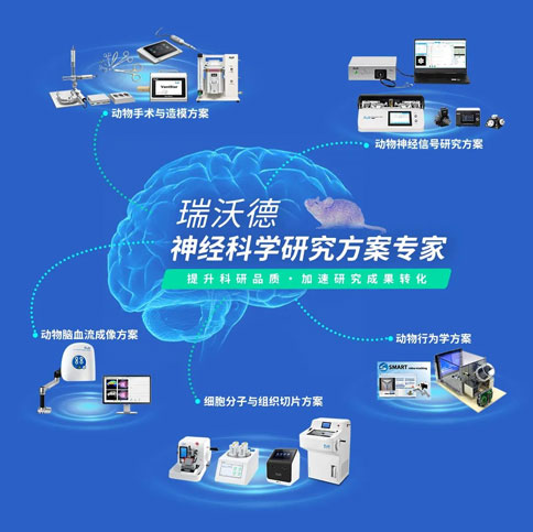 1-千亿国际神经科学研究方案.jpg