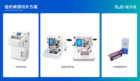 4-千亿国际组织病理切片方案.jpg