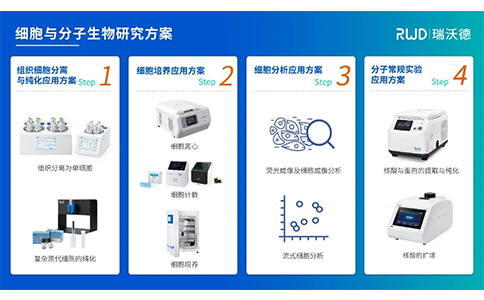 千亿国际细胞与分子生物研究方案