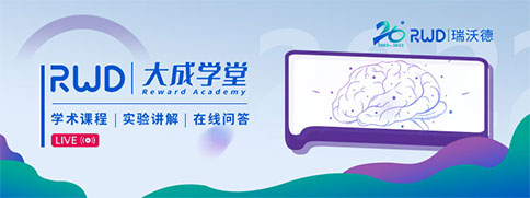 千亿国际大成学堂