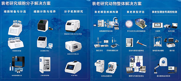 千亿国际两大衰老解决方案