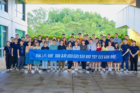 千亿国际联合吉训明教授团队成员，成功举办脑缺血动物模型培训班