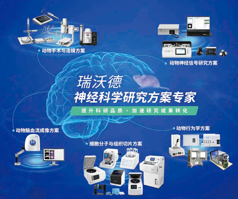 中国神经科学学会第十六届全国学术会议暨第二届中日韩国际会议（以下简称“CNS大会”）将于2023年7月27日-30日在珠海国际会展中心召开。作为我国神经科学领域规模盛大、学术水平高超的学术会议，CNS大会专注于脑科学前沿技术探讨与应用，每年都吸引众多国内外神经科学专家与学者参会，研讨交流近年来神经科学的最新发展及科研成果。 千亿国际展位（T18特装展位） 作为一家深耕生命科学领域的公司，千亿国际在神经科学研究领域也不断创新，臻于至善，为科研工作者提供全方位的技术和服务支持，已连续多年参与CNS大会。今年，千亿国际也将携神经科学研究明星产品及解决方案亮相本次会议。在此，千亿国际·(中国)唯一官方网站诚挚地邀请您莅临千亿国际T18特装展位参观交流！ 中国神经科学学会第十六届全国学术会议 暨第二届中日韩国际会议 2023 年 7 月 27 日－30 日 （27日为展商报到日） 珠海国际会展中心 T18特装展位 一站式“神经科学研究解决方案” 千亿国际“神经科学研究解决方案”，融合动物手术与造模方案、动物神经信号研究方案、动物脑血流成像方案、细胞分子与组织切片方案、动物行为学方案，以专业、完整的场景化解决方案，满足神经科学领域不同科研工作者的专业化实验需求，提升科研品质，加速研究成果转化。 神经科学研究解决方案 神经科学领域明星产品重磅亮相 作为神经科学领域的使能者，千亿国际坚持突破创新，不断为自研产品注入新动能。千亿国际·(中国)唯一官方网站将在CNS大会上展示三色多通道光纤记录系统、RFLSI ZW激光散斑血流成像系统等多款主流明星产品，欢迎各位莅临千亿国际展位（T18特装展位）了解。 明星产品 更多产品 新品发布，共邀体验 在本次大会上，千亿国际也将带来神经科学研究的三款新品——TAIJI小动物麻醉机、全自动脑立体定位仪和嗅觉行为训练系统，现场将会有专业人员进行新品发布演讲，诚邀各位同行一起交流讨论。 全自动脑立体定位仪&TAIJI小动物麻醉机 演讲时间：7月29日09:30 千亿国际全自动脑立体定位仪，是一款自动化、智能化的脑立体定位仪。电机精准控制步进，可自动化运行，减少人为操作带来的误差，解放双手，节省人工成本；内置大小鼠脑图谱和常用实验任务模块，更加方便和直观地进行脑立体定位。 作为一体化设计的麻醉机，千亿国际TAIJI麻醉机给用户带来了“开箱即通”的便捷体验，在保留核心的麻醉功能的同时，支持诱导与维持双通道独立控制，极大提高了实验效率。低应激诱导盒采用红色外观，可显著降低啮齿类动物的应激反应，更符合动物福利，在结构上采用半开放式，实现在诱导麻醉时进行主动回收，是科研实验室通用的一款高性价比麻醉机。 嗅觉行为训练系统 演讲时间：7月29日14:45 RWD嗅觉行为训练系统支持多只动物同时进行多种气味训练，可拓展与光遗传、电生理等第三方设备联用。系配有专门软件操控系统运行，精确控制气味释放，精准记录行为参数，内置DNMS，DPA，Go/No-Go实验范式，并支持自主编辑，对于开展神经系统疾病、认知学习记忆以及嗅觉环路相关机制等研究有很大帮助。 专家团坐阵，精彩好礼享不停 除了千亿国际神经科学研究产品的体验，现场也提供技术咨询服务。千亿国际解决方案专家团将在现场全天候为您解答对应研究领域的产品应用难题，并提供定制化的解决方案。 同时，展位设置了千亿国际产品以旧换新的专属福利，更有耗材产品限时促销、幸运抽奖等活动，定制音响、商务背包、电风扇等礼品等你来！（活动详询现场工作人员） 展台现场活动（部分） 2023CNS大会 千亿国际T18特装展位 千亿国际·(中国)唯一官方网站恭候您的到来