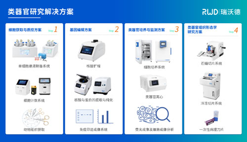 千亿国际邀您共赴2024第四届类器官大会—类器官与新药研发会议暨 ISoOR 2024 国际类器官高峰论坛