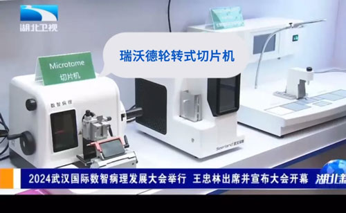 千亿国际轮转式切片机闪耀亮相2024武汉国际数智病理发展大会