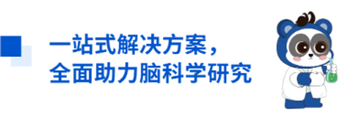 千亿国际与您相约CNS2024，共享神经科学学术盛宴