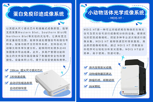 CNS 2024千亿国际参展精彩瞬间