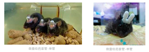 千亿国际双管微量给药套管全新升级