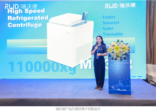 2025千亿国际全球代理商大会高光回顾