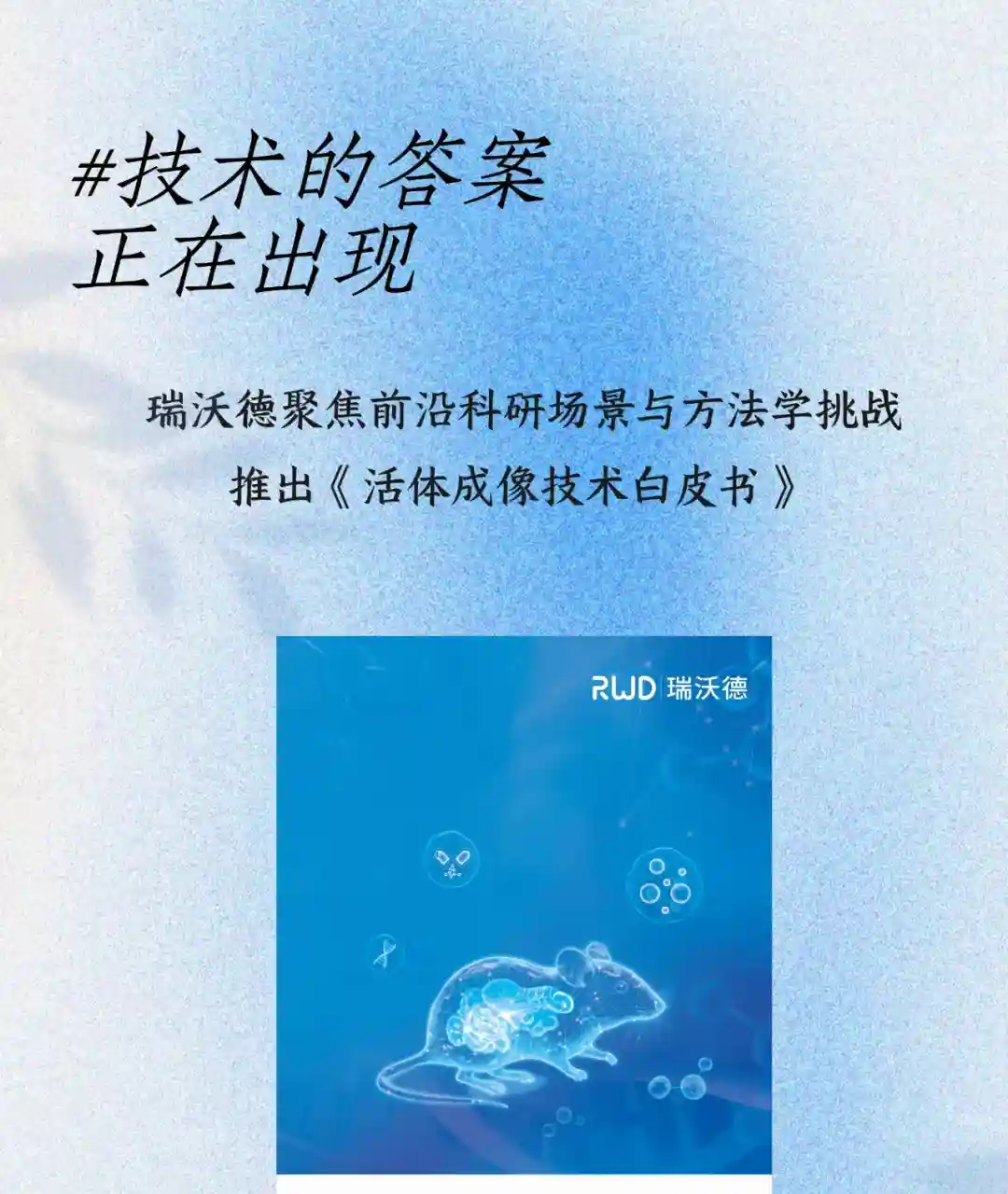 活体成像2.Jpg